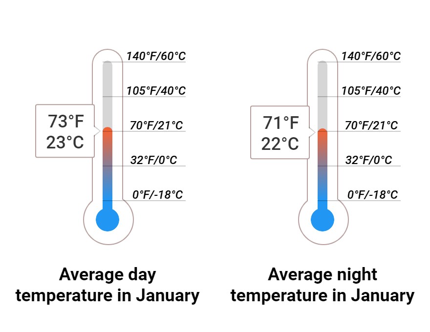 Average temperature